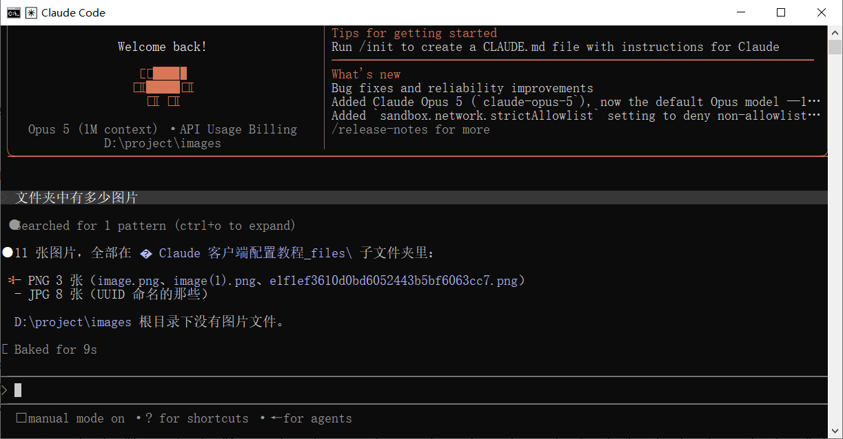Claude Code CLI 使用示例